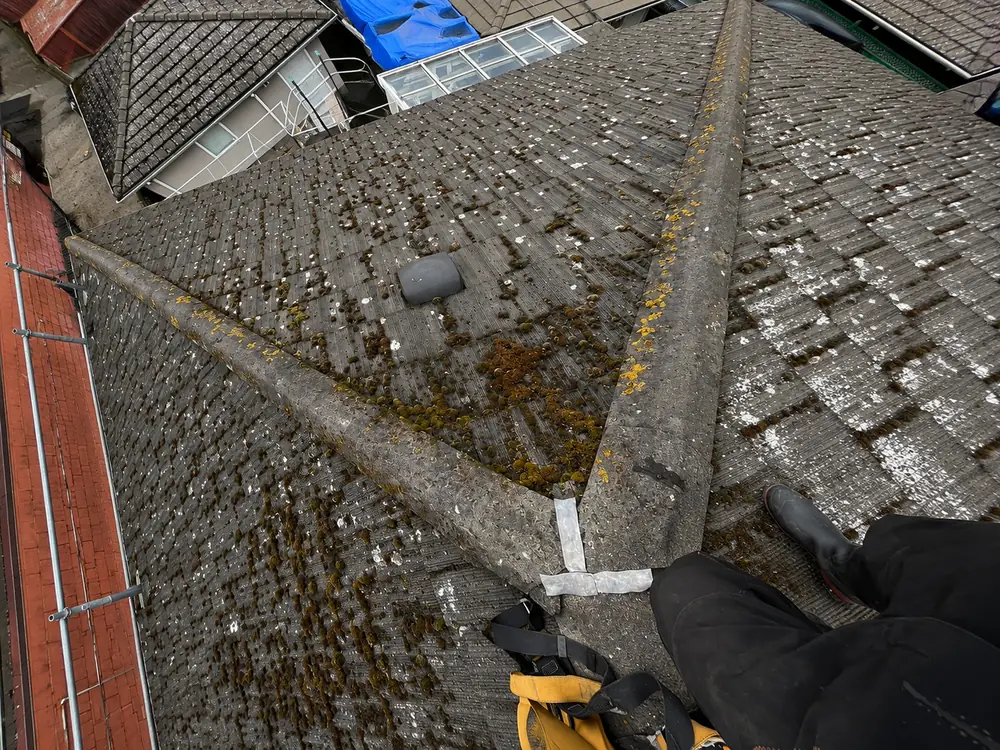 Roof moss and lichen removal. Drag to compare., before