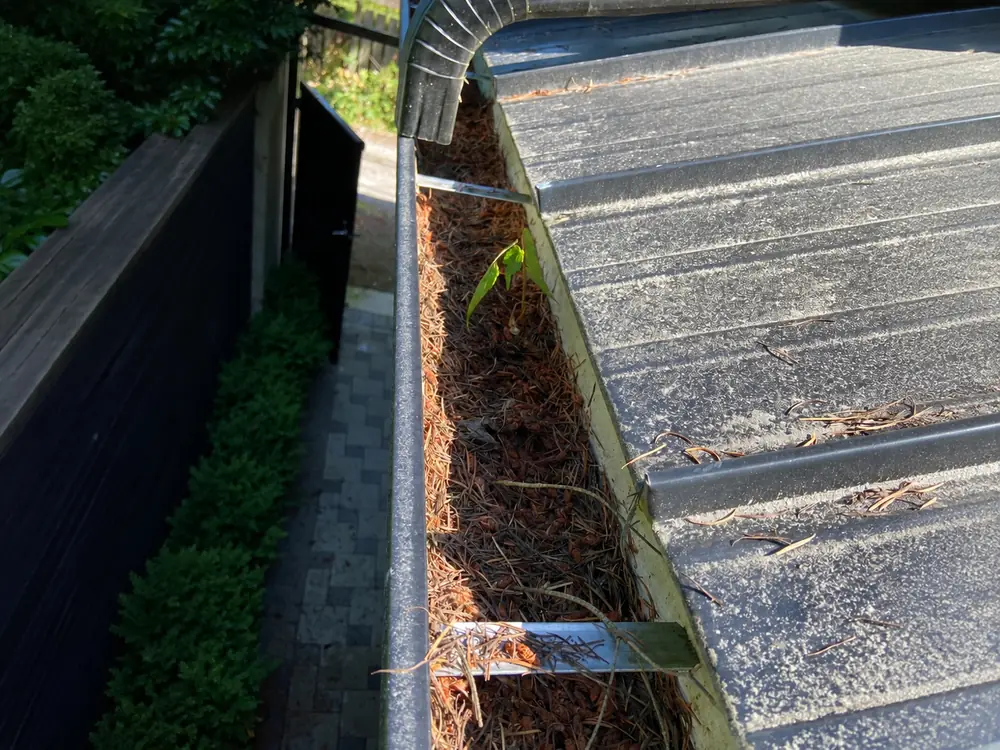 Gutter cleared, flushed and tested. Drag to compare., before